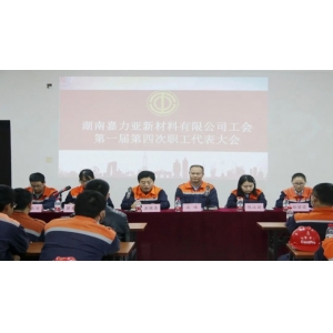 湖南嘉力亞新材料有限公司工會(huì)第一屆第四次職工代表大會(huì)成功召開